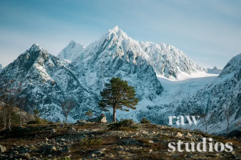 Et majestetisk fjellandskap med snødekte topper og et enslig furutre i forgrunnen under en klar blå himmel. Det karrige terrenget består av stein og lav, badet i kaldt vinterlys.