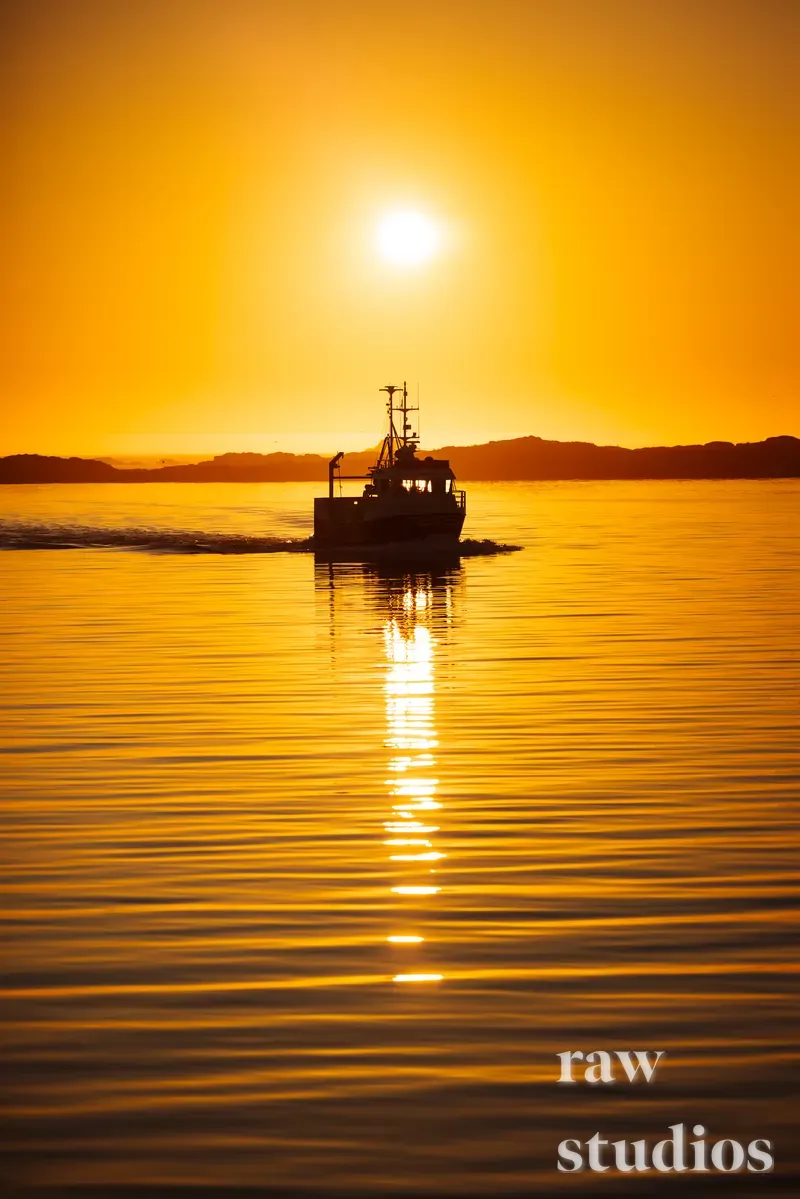 En båt seiler på et rolig hav under en gyllen solnedgang med sterke oransje og gule toner. Solens lys reflekteres i vannoverflaten, og silhuetten av kysten er synlig i bakgrunnen.