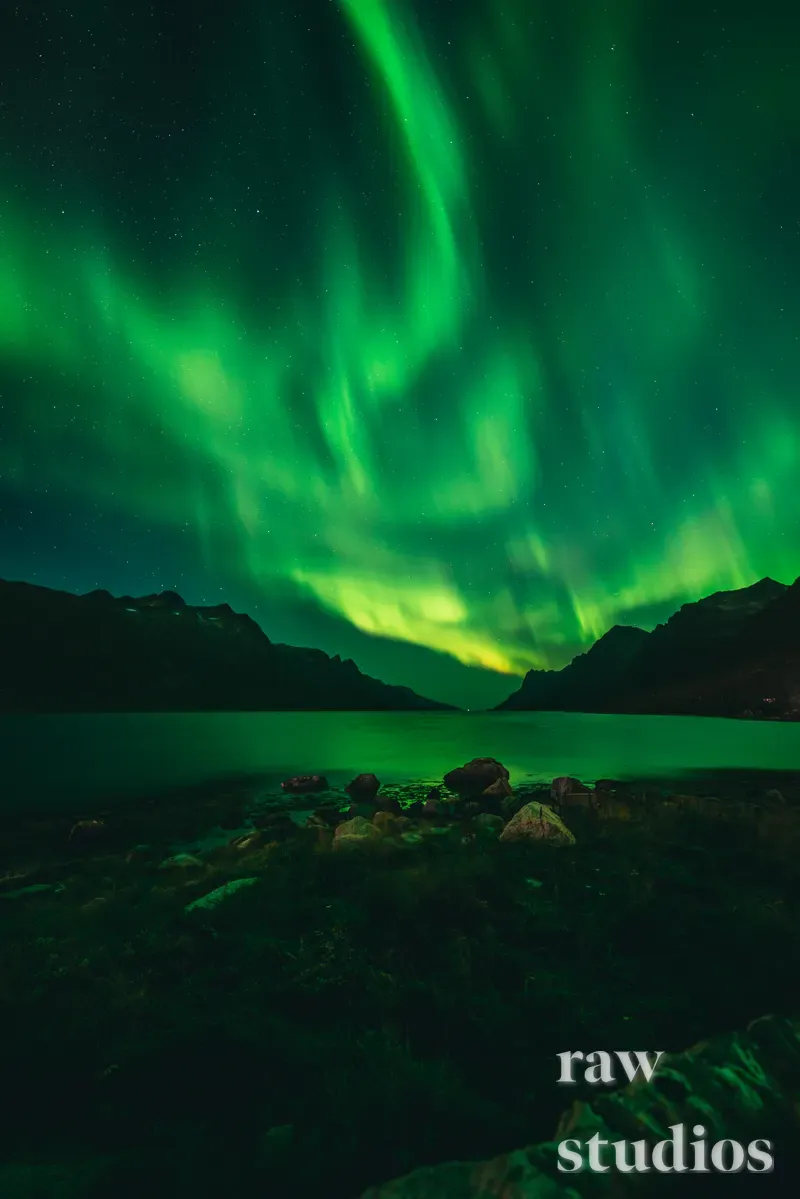 Grønt nordlys lyser opp et mørkt fjellandskap over en stille innsjø eller fjord under en stjerneklar natt. Det arktiske landskapet viser en steinete strand med en magisk og rolig stemning.