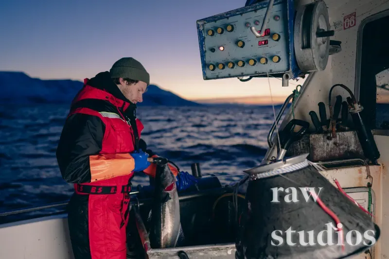 En person i rød og svart fiskerbekledning håndterer en stor fisk på en båt ved kysten. Omgivelsene består av hav, sjø og fjell under arktisk lys ved skumring. Stemningen er kald og autentisk.