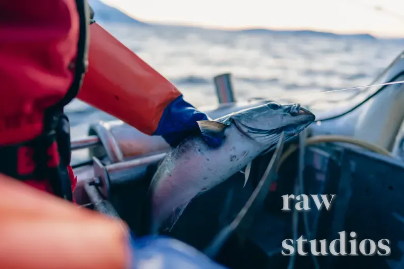 En person i oransje og rødt regntøy med blå hansker holder en stor sølvfarget fisk på en båt ute på havet eller kysten. Motivet viser aktivt fiske i et maritimt miljø under naturlig dagslys.