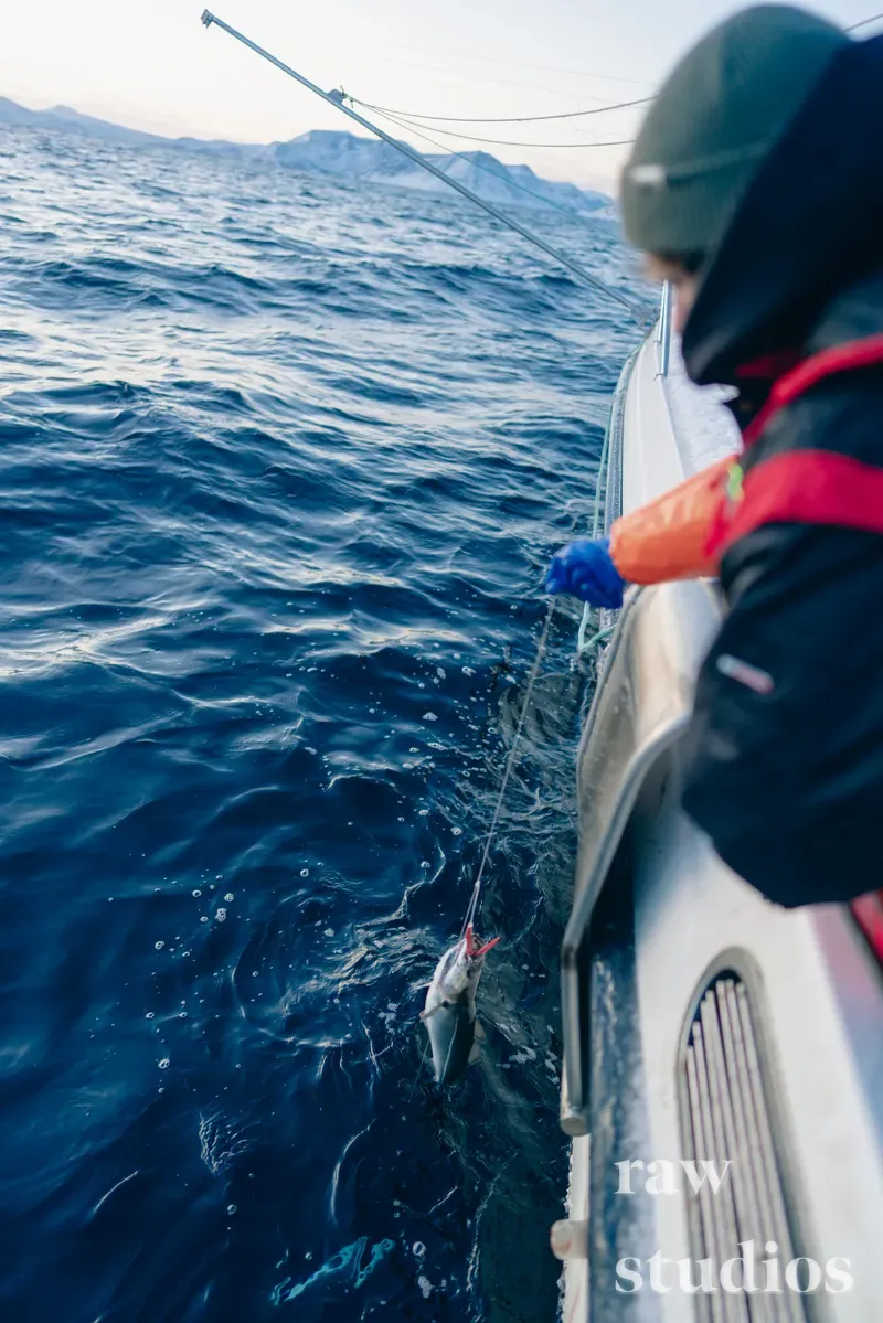 En person i varm bekledning fisker opp en fisk fra en båt på det blå havet med bølger. I bakgrunnen ses fjell og kyst under dagslys, noe som skaper en stemning av maritim aktivitet ute på sjøen.